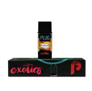 PLUG Play - Paradise Punch (Hybrid)