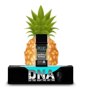PLUG Play - Pineapple Express (Hybrid)