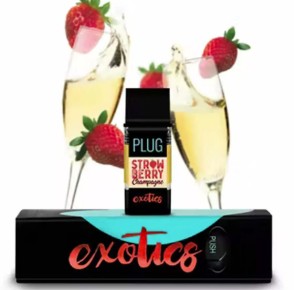 PLUG PLay - Strawberry Champagne (Hybrid)