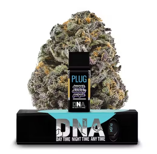PLUG Play - Sugar Daddy Purple (Indica)