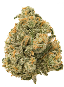 Sour Tangie