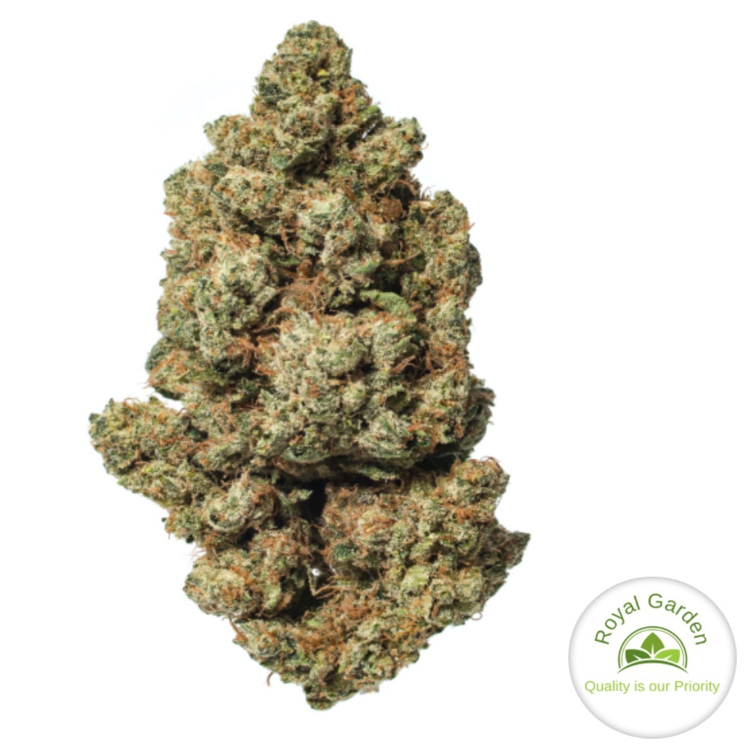 Disneyland OG