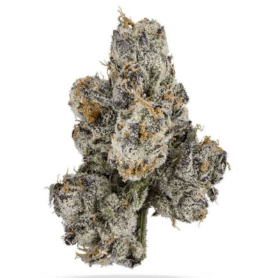 Black Cherry Gelato