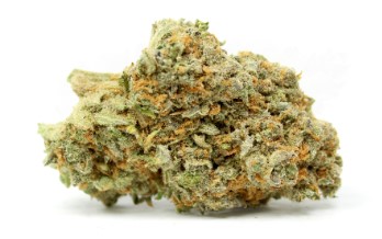 Super Lemon Haze